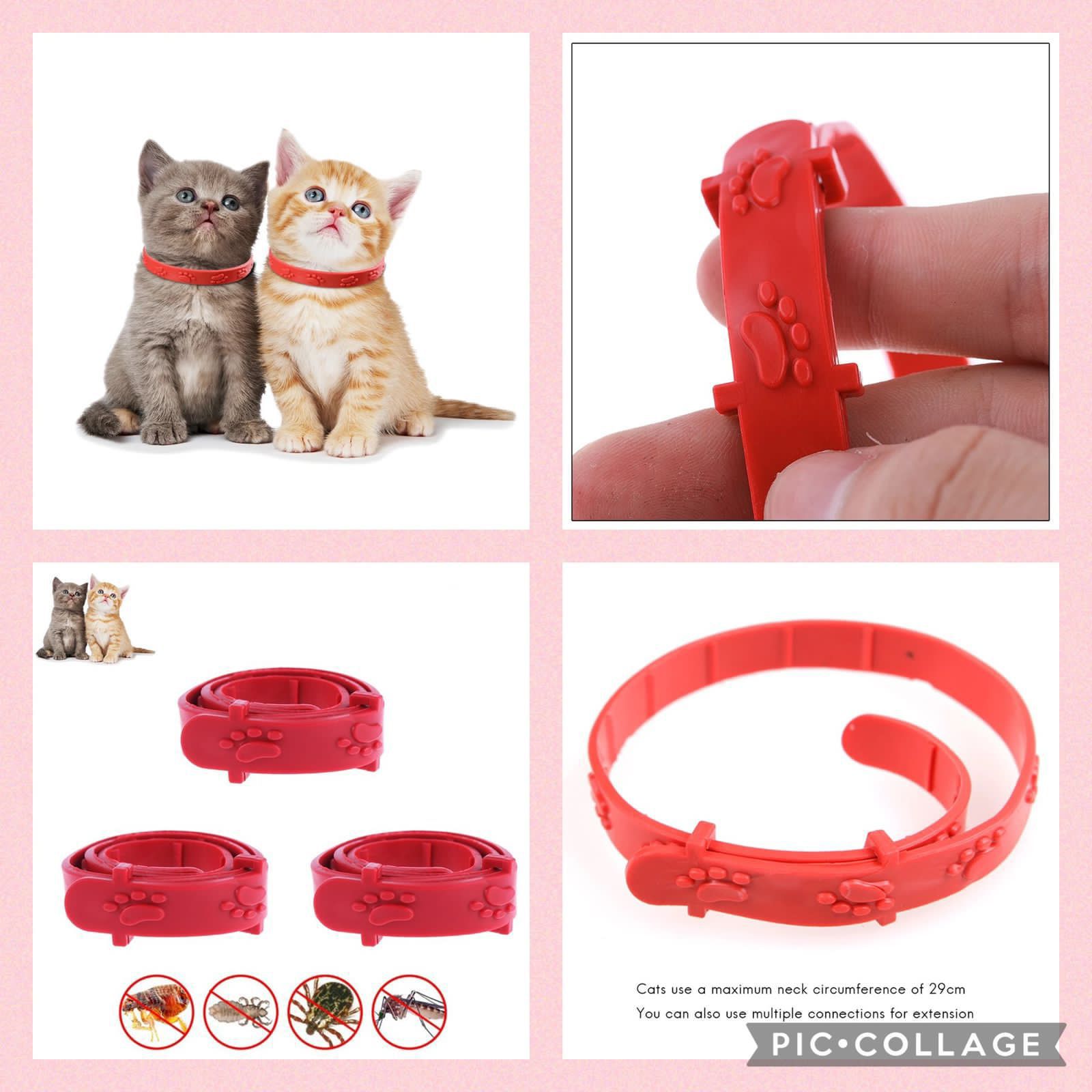 COLLAR ANTIPULGAS Y GARRAPATAS - Imagen 4