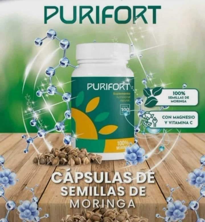 PURIFORT 100 CAPSULAS DE SEMILLA DE MORINGA - Imagen 2