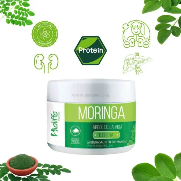HARINA DE MORINGA - Imagen 2